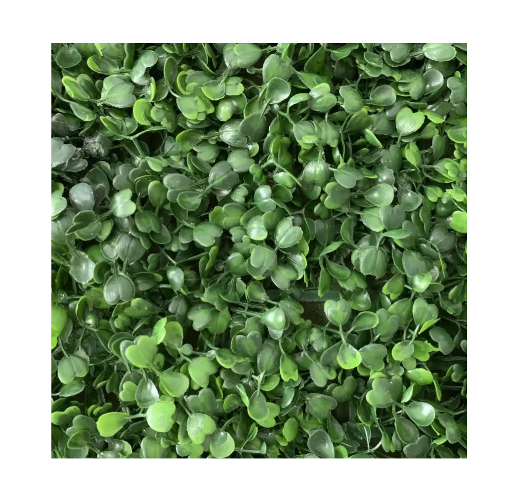 Green Clover Backdrop with Frame